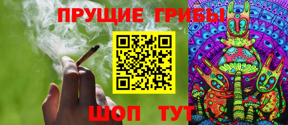 Псилоцибиновые грибы GOLDEN TEACHER  Галлюциногенные грибы Cubensis  Вход с VPN  Россошь 