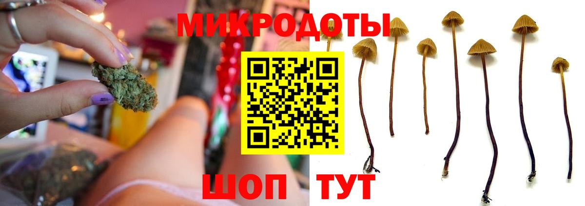 Галлюциногенные грибы GOLDEN TEACHER Россошь